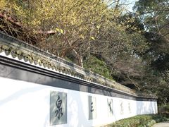 -虎跑公园