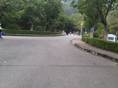 -滴水岩森林公园