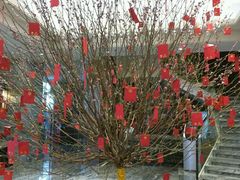 -东方御宴海鲜酒楼(棕泉酒店)