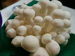 -皇城根(张杨店)