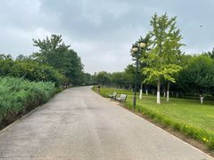 -永定河休闲森林公园