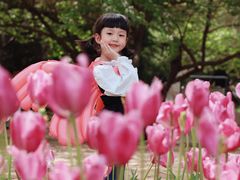 -石家庄市植物园