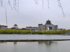 -莲花池公园