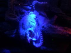 -沈阳海洋探索中心