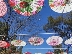 -敬亭山风景名胜区