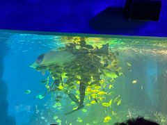 -常州海昌海洋探索馆