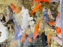 -御轩足道·SPA·养生·保健(瑞金北路店)