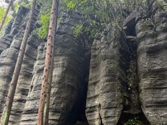 -梭布垭石林景区