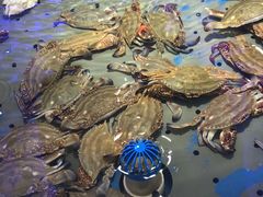 -澜悦港海鲜体验主题餐厅