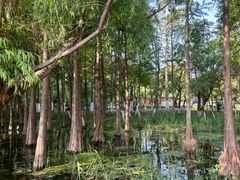 -滇池海埂公园