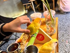 -吾叁·吉趣鸟咖(万科店)