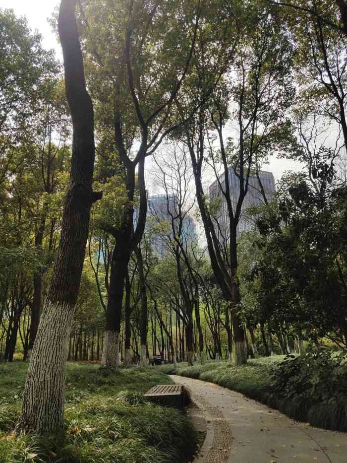 钱江新城森林公园-"两边的夜景还是很美的,本来八月底跟朋友一.