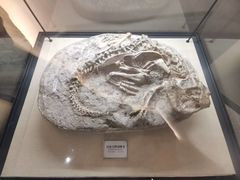 -辽宁古生物博物馆