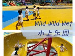 -Wild Wild Wet水上乐园