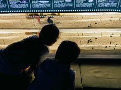 -欢乐海岸海洋奇梦馆