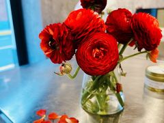 -LESCEDARS Brasserie Bistro香柏树