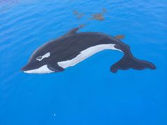 iphone_upload_pic-上海玛雅海滩水公园