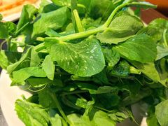 -李掌柜鲜菜火锅(移民广场店)