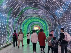 -栾川竹海野生动物园