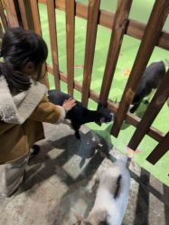 -酷嗒动物文化乐园(cutezoo西溪乐天城店)