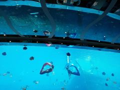 -瑞德姆美人鱼海底演艺主题餐厅(亚龙湾店)