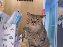 -纳吉亚猫专科动物医院博雅分院