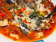 -坛宗剁椒鱼头(河西王府井店)