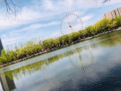 -青城公园