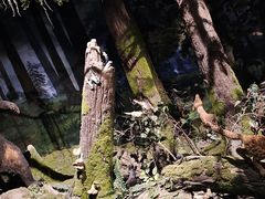-大庆市博物馆