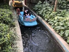 -南宫五洲植物乐园