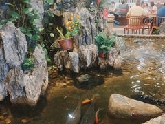 -丰圆轩粤式茶楼 . 点心粤菜(夏茅店)