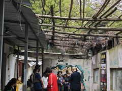 -东湖小天池真人CS彩弹野战基地
