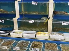 水产区-胶东海鲜大排档(北太平庄店)