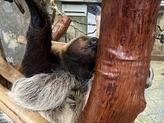 -正佳雨林生态植物园