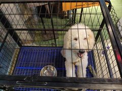 -MOJO密室逃脱(中街旗舰店)