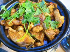 麻辣鲶鱼煲-川香煲(茅台路店)