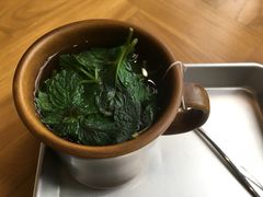 摩洛哥薄荷茶-WHEN PIGS FLY当猪飞