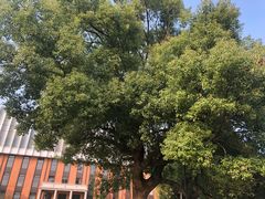 -东钱湖旅游度假区