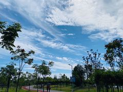 -上海长兴岛郊野公园