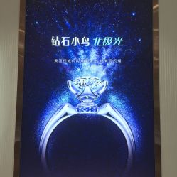 点击看大图 -钻石小鸟钻戒婚戒定制(石路店)