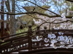 -上海共青森林公园