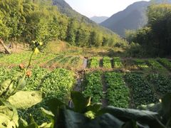 -众神白水涧景区