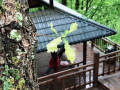 -陕西省红河谷森林公园