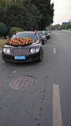点击看大图 -蚂蚁婚车