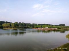 -东郊湿地公园