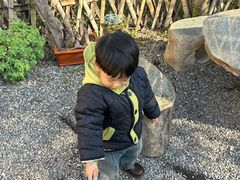 -小芝红树林