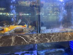 -501號台州海鲜餐厅(海创园店)