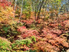 -丹东天桥沟景区