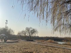 -大兴滨河森林公园