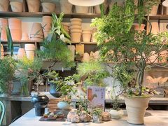 -自由生长植物工作室(深港花卉中心店)